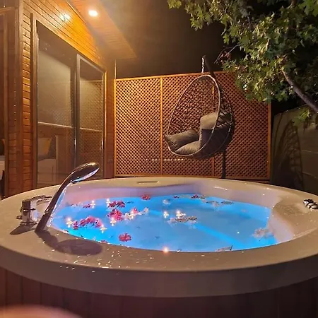 Alley Tiny House Vila