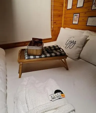 Alley Tiny House * 费特希耶