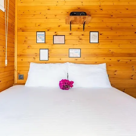 Vila Alley Tiny House