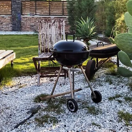 Alley Tiny House 费特希耶