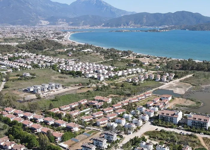 Alley Tiny House Willa