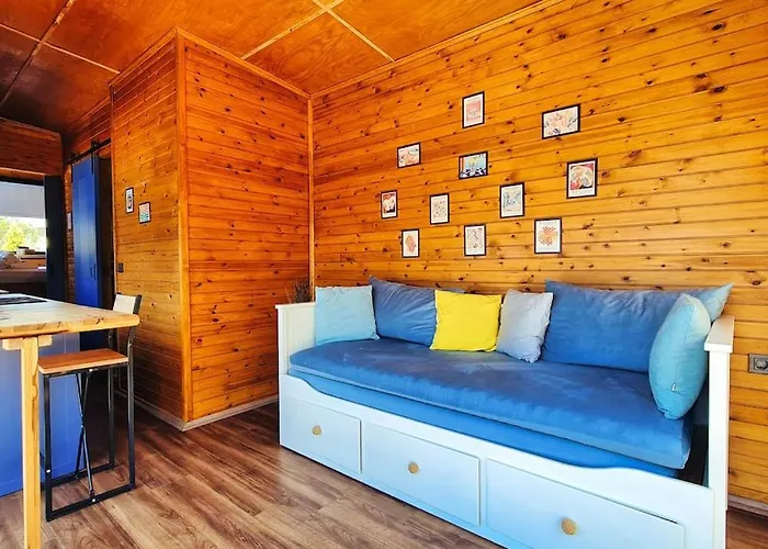 Alley Tiny House *