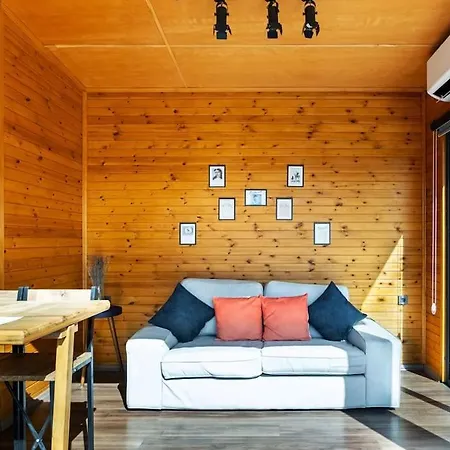 Alley Tiny House *